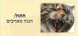 (בספר תרשים של ציוד המשימה)